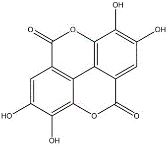 一种杉寄生中鞣花酸和3,3`‑二甲氧基鞣花酸含量检测方法与流程