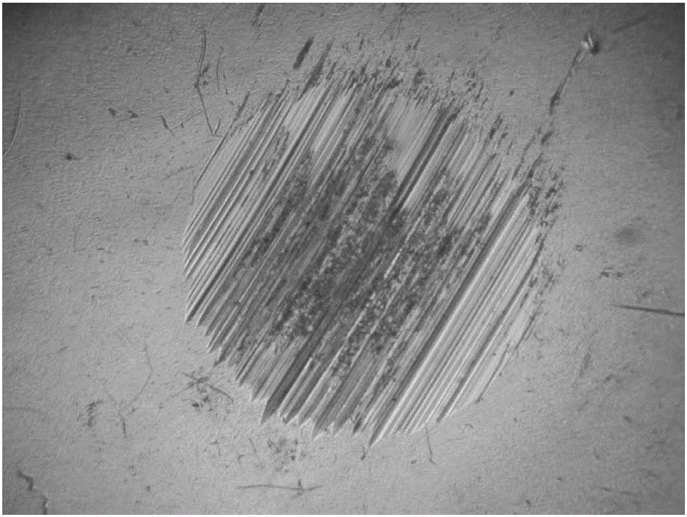 一种四球摩擦试验磨斑图像磨痕方向自动定位方法与流程