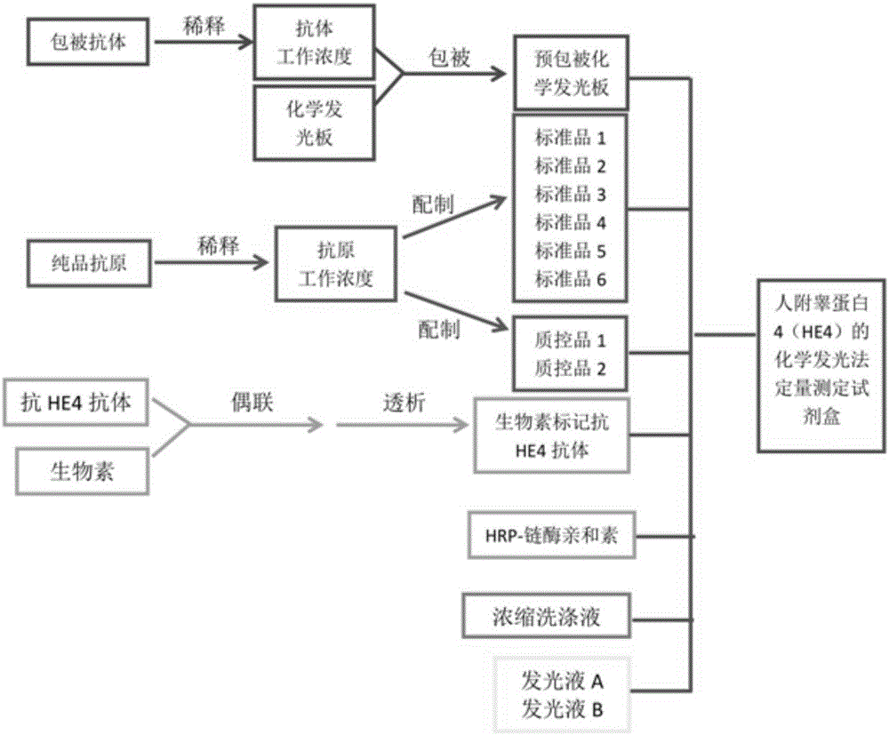 一種人附睪蛋白4化學發(fā)光酶免疫定量測定試劑盒及應用的制作方法與工藝