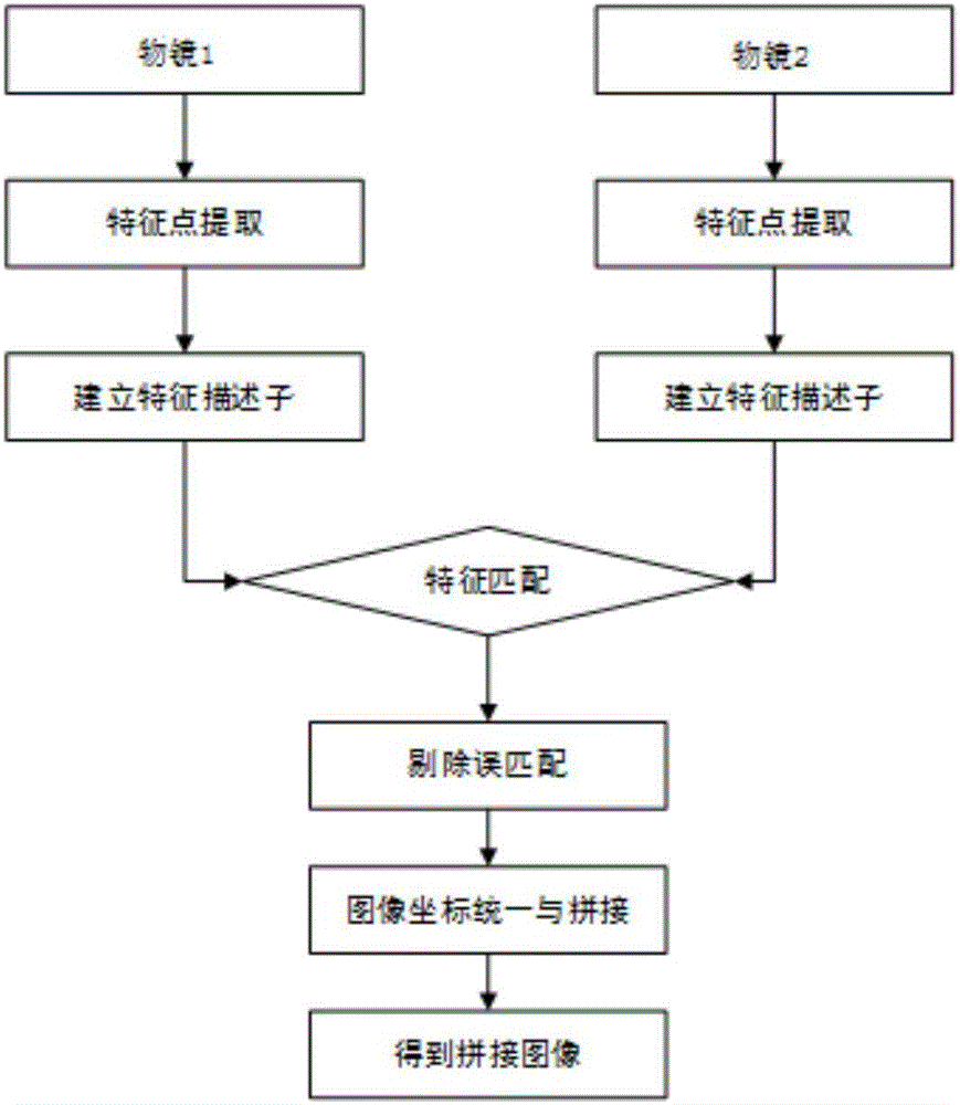 一種增大觀察視角的顯微鏡的制作方法與工藝