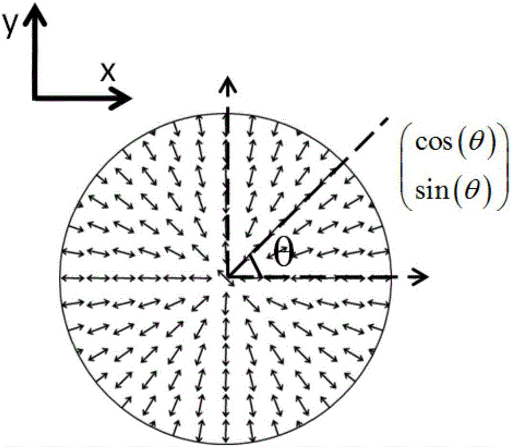 一种基于双折射相位片的单光路矢量光场产生方法与流程