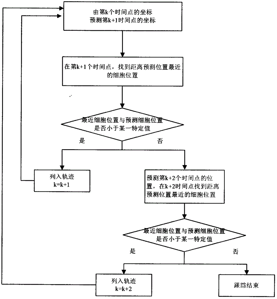 一种细胞图像跟踪智能算法的制作方法与工艺