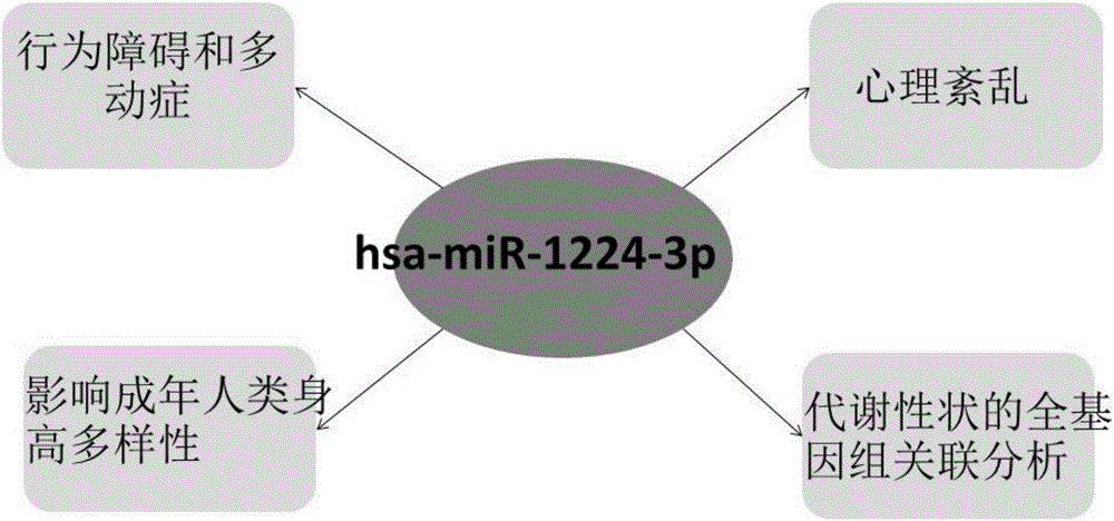 利用TCGA數(shù)據(jù)庫資源發(fā)現(xiàn)直腸癌相關microRNA分子標志物的方法及系統(tǒng)和應用與流程