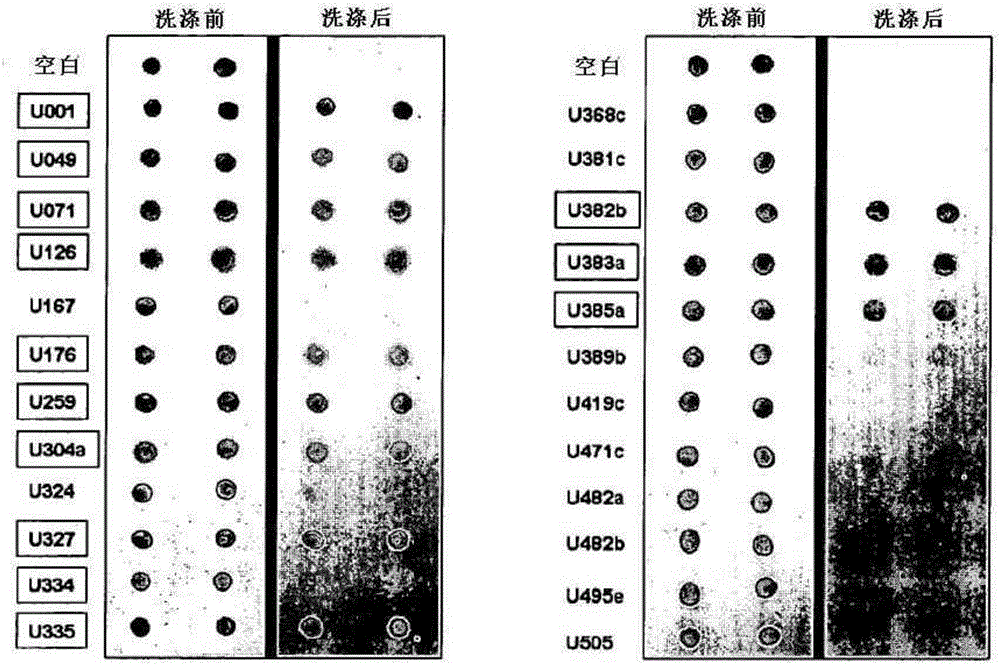 先兆子痫检测和治疗的方法和组合物与流程