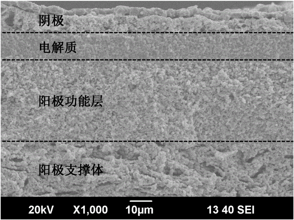 一種摻雜氧化鈰基固體氧化物燃料電池及其制備方法與流程