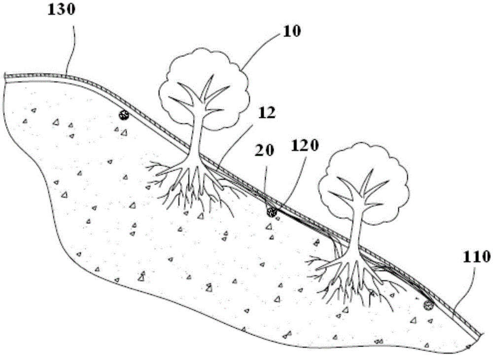 植物根墻的營造方法與流程