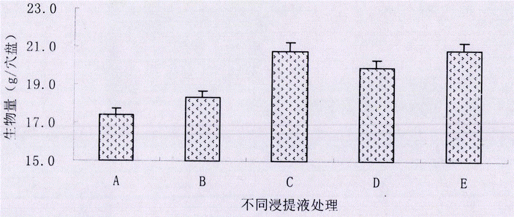 一种利用基质培养提高枸杞幼苗耐盐性的方法与流程