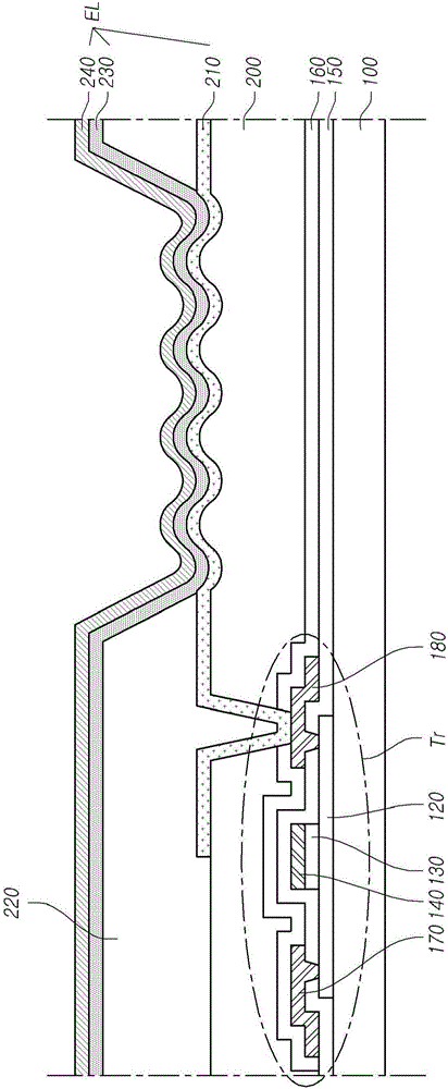 有機(jī)發(fā)光二極管顯示裝置及其有機(jī)發(fā)光二極管的制作方法