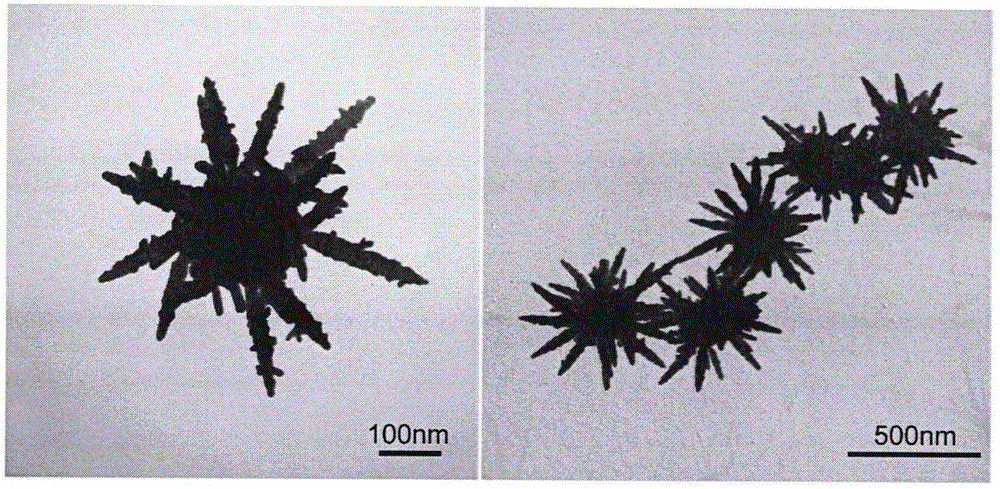 一种磁性银花纳米颗粒的结构及制备方法与流程