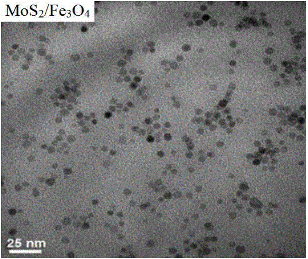 一种层状MoS2‑Fe3O4纳米复合材料的制备方法与流程