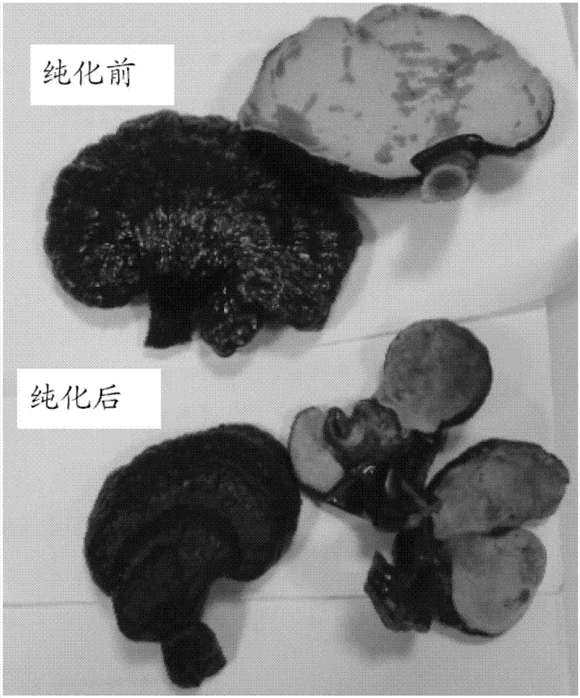 诱导菇蕈所含的三萜类合成的方法与流程
