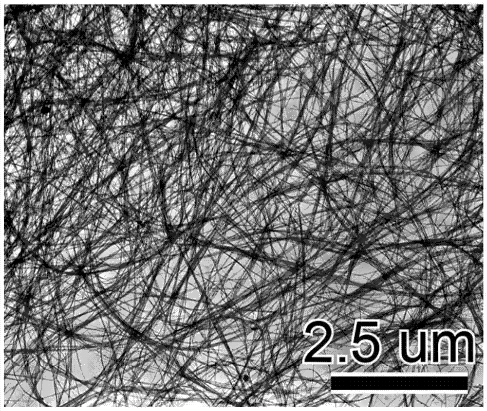 羟基磷灰石纳米线、纳米线组装网状结构及其制备方法与流程