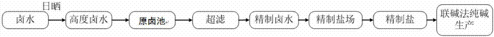 联合制碱中原料盐的制备系统的制作方法与工艺