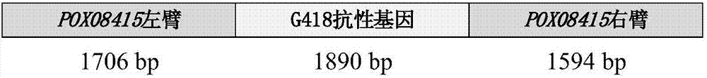 功能蛋白POX08415及其編碼基因與應(yīng)用的制作方法與工藝