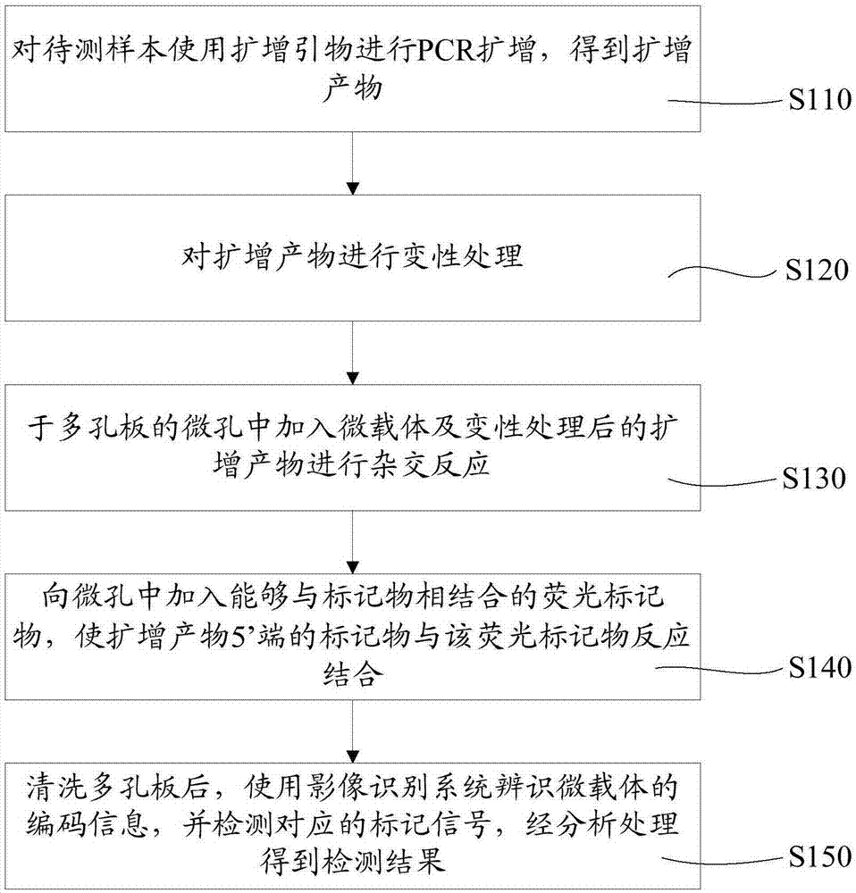 HPV 检测试剂盒及检测方法与流程