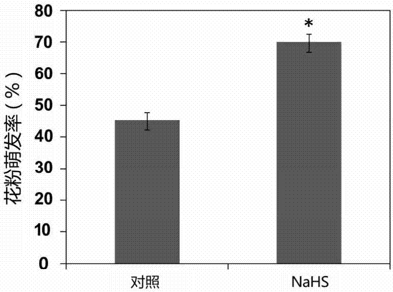 硫氢化钠作为植物花粉萌发促进剂的应用的制作方法与工艺