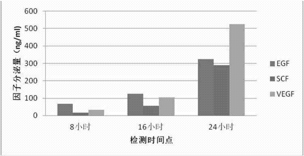 用于家庭小型寵物的含間充質(zhì)干細(xì)胞分泌物的灌腸液及其制備方法與流程