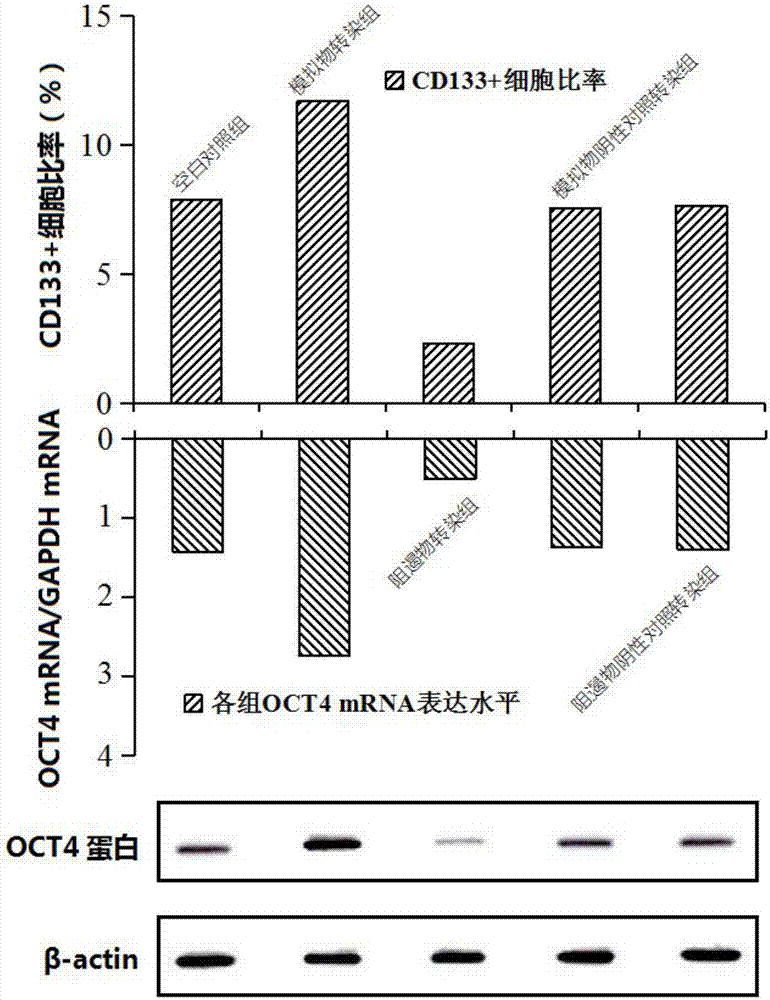 一種microRNA及其小分子抑制劑在抑制肺腺癌干細胞特性中的應用的制作方法與工藝