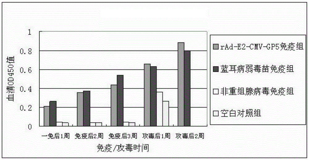 一种重组腺病毒及其构建方法与流程