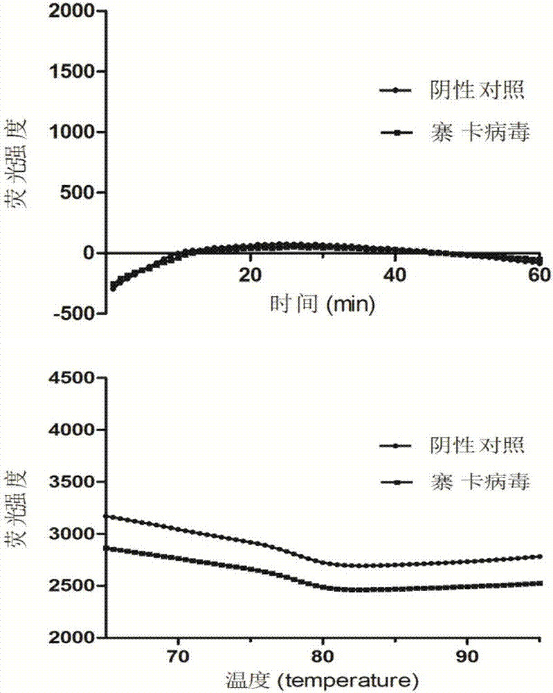 檢測寨卡病毒的引物、試劑盒和方法與流程