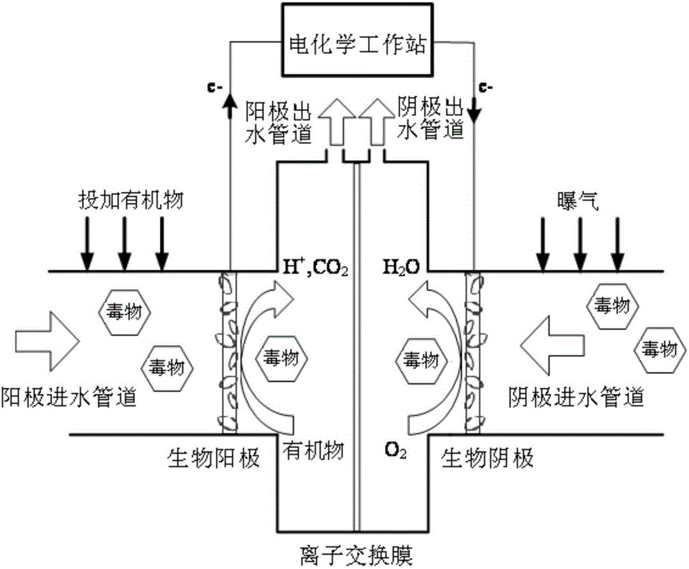 一种微生物燃料电池及其制备和在水质预警中的应用的制作方法与工艺