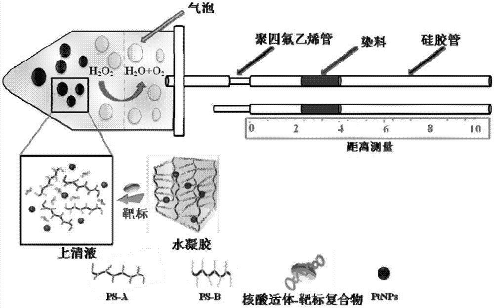 一种基于距离变化信号输出的可卡因便携检测装置及方法与流程