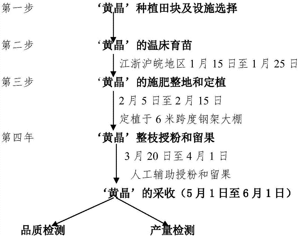 一种西瓜的优质高产栽培方法与流程