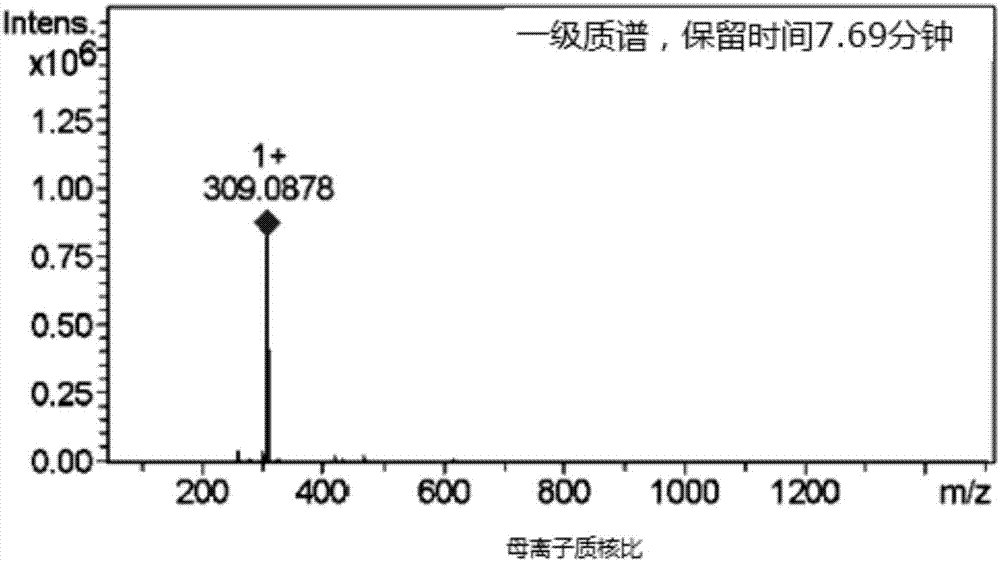 發(fā)酵食品中酒渣堿的制備方法及其應(yīng)用與流程