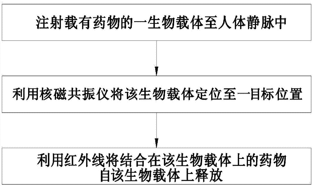 生物載體及其使用方法與流程