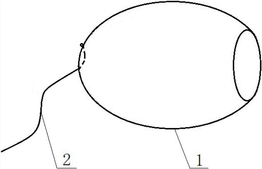 治療宮頸糜爛的藥劑的制作方法與工藝