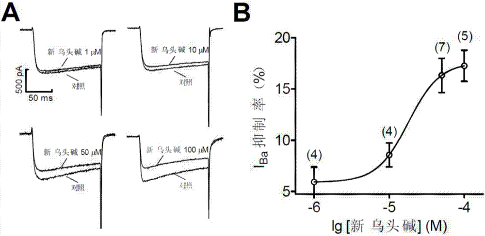 新乌头碱在制备钙通道阻断剂中的应用的制作方法与工艺