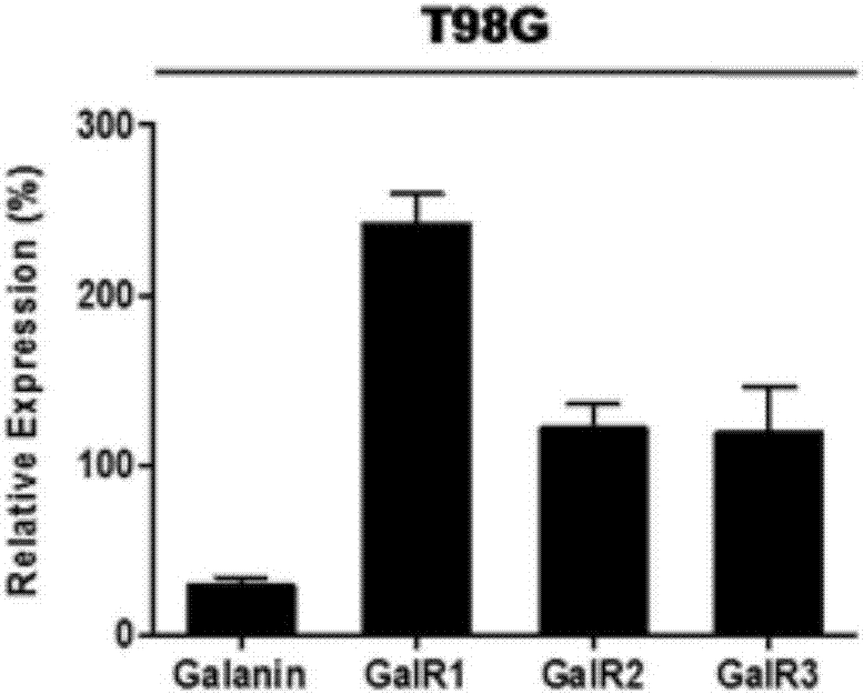 一种甘丙肽在制备抑制胶质瘤细胞增殖的试剂中的应用的制作方法与工艺