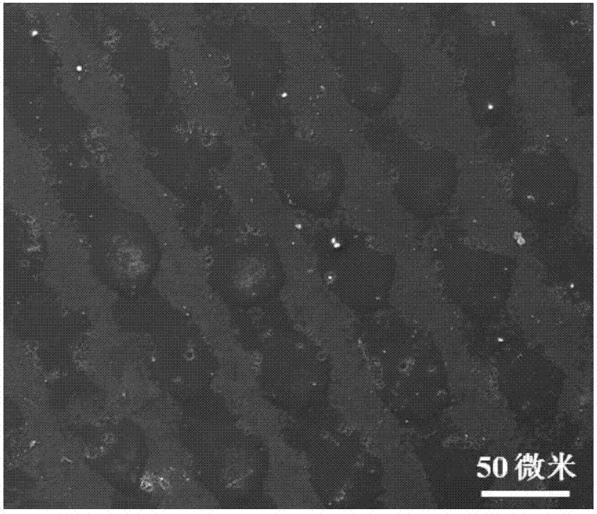 聚丙烯膜表面構(gòu)建二元圖案的方法與流程