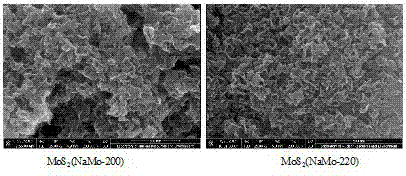 二硫化鉬單體催化劑的制備方法與流程