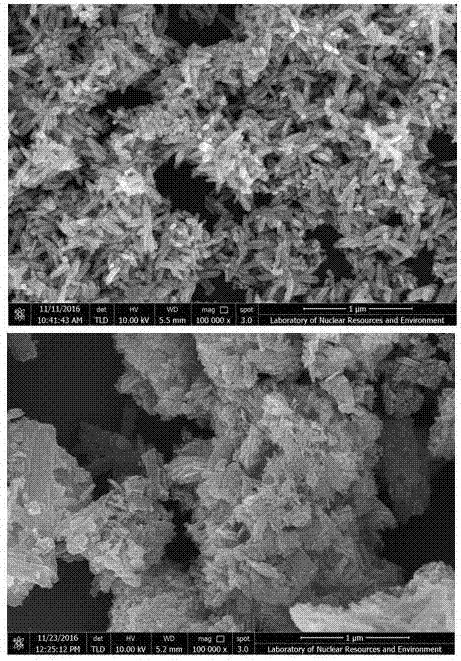 一种氧化锌纳米棒/g‑C3N4纳米片复合光催化材料的制备方法与流程