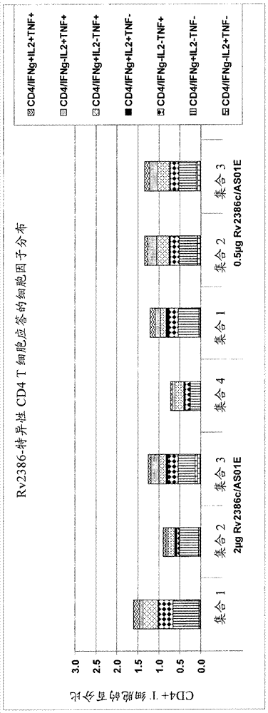 結(jié)核病RV2386C蛋白、組合物及其用途的制作方法與工藝