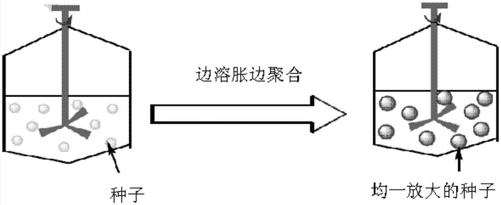 一種多孔高分子微球陰離子填料的制備方法與流程