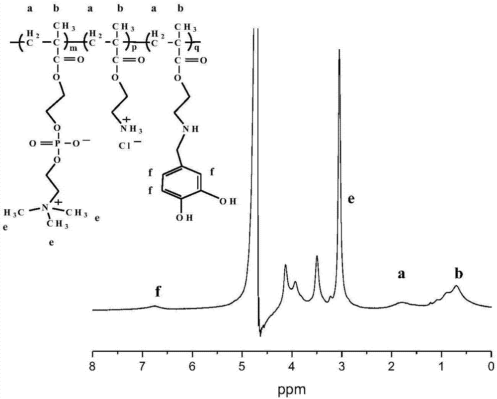 一种基于醛基与氨基反应合成双仿生聚合物的方法与流程