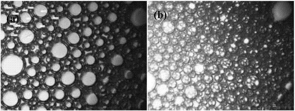 纳米改性超稳定泡沫及其在超轻密度水泥基多孔材料中的应用的制作方法与工艺