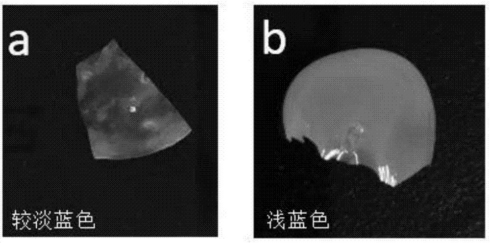 結(jié)構(gòu)色墨水及其制備方法與流程