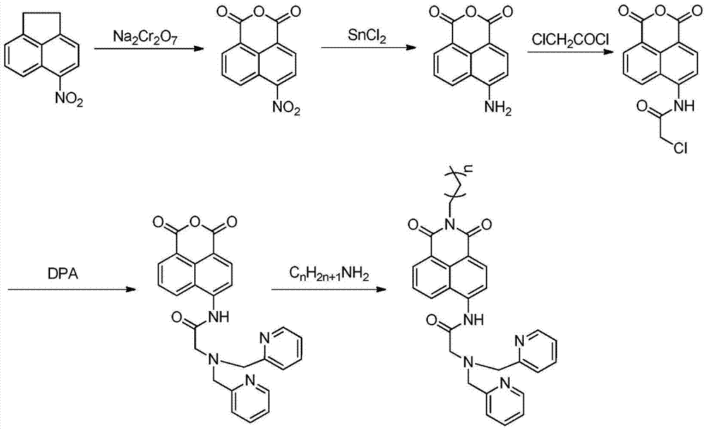 一種細(xì)胞膜定位鋅離子熒光探針及其制備方法和應(yīng)用與流程