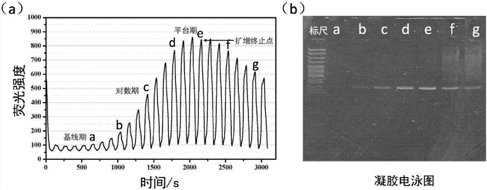 一种适配体筛选用多腔室微流控PCR芯片及其制造方法与应用与流程