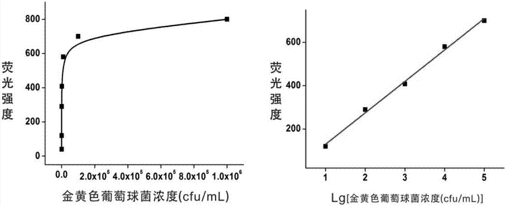 一種金黃色葡萄球菌的檢測(cè)方法及檢測(cè)試劑盒與流程