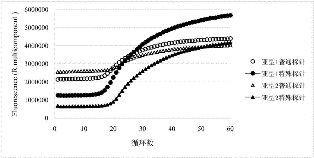 高信噪比多探針PCR Taqman探針及其應(yīng)用的制作方法與工藝