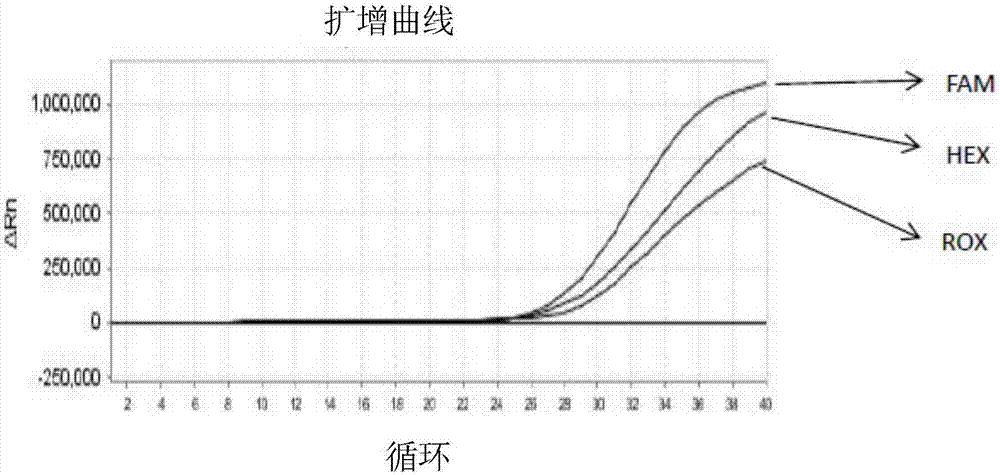 一种监控荧光定量PCR反应污染的方法与流程