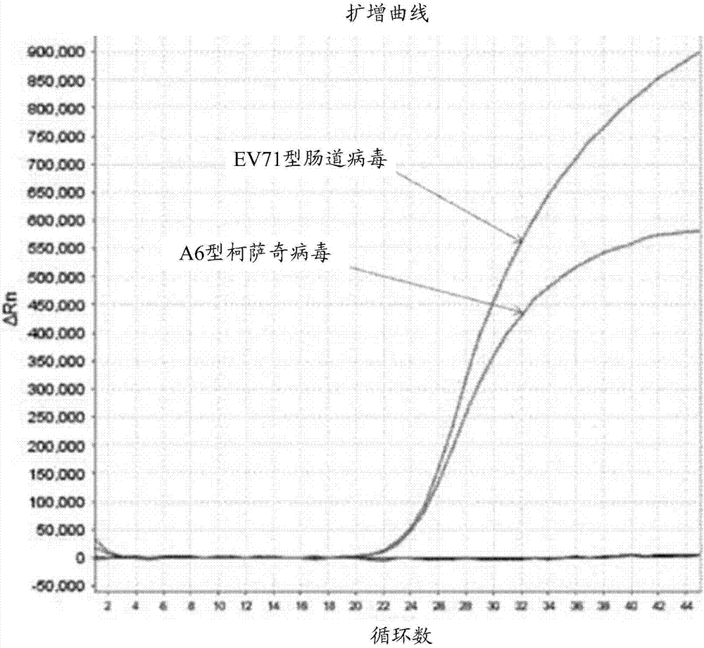 同时检测EV71型肠道病毒和A6型柯萨奇病毒的检测试剂及试剂盒的制作方法与工艺