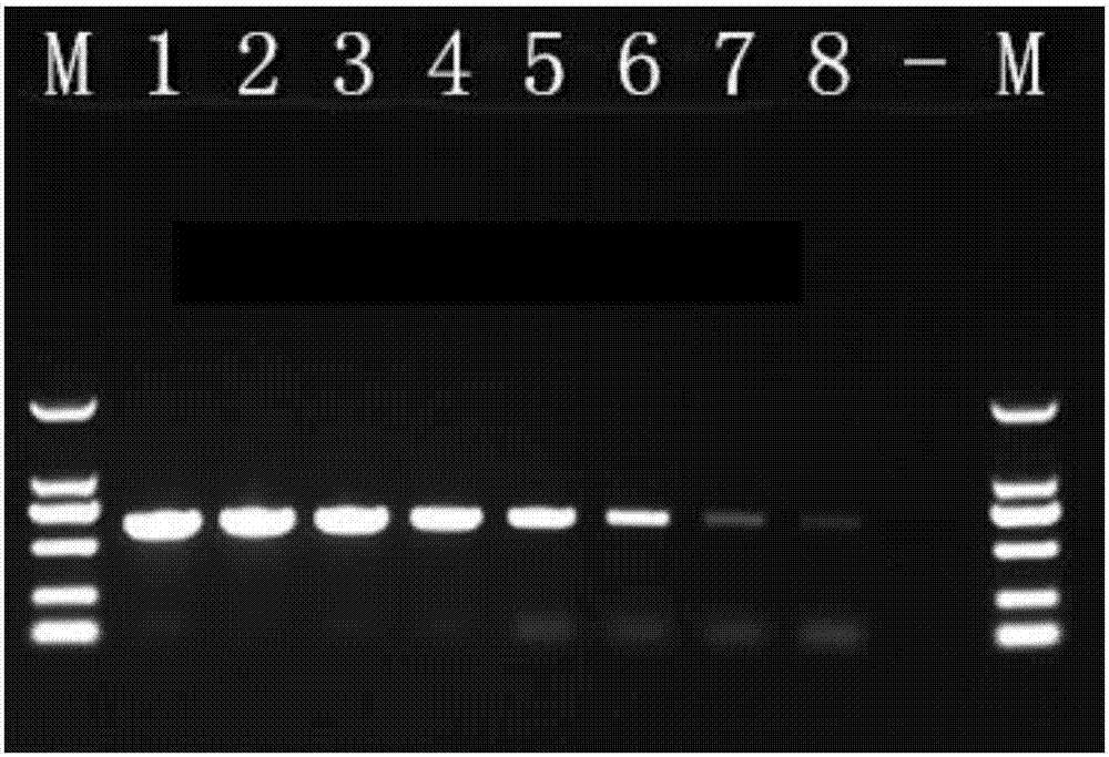 一种禽白血病病毒PCR检测引物组及包括该检测引物组的试剂盒的制作方法与工艺