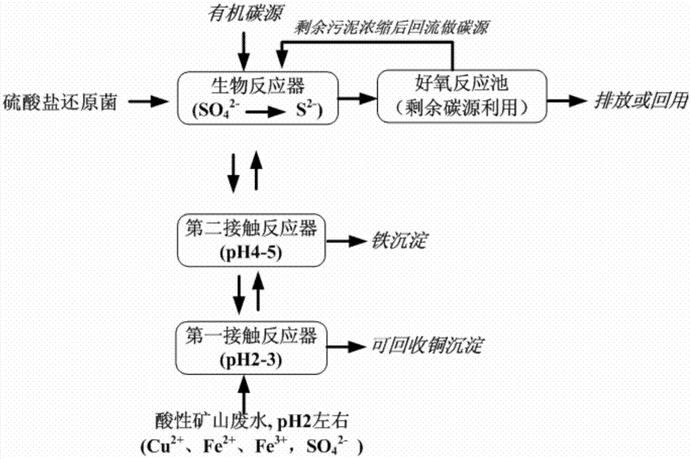 硫酸鹽還原菌及其用于回收礦山廢水中有價(jià)金屬的工藝的制作方法與工藝