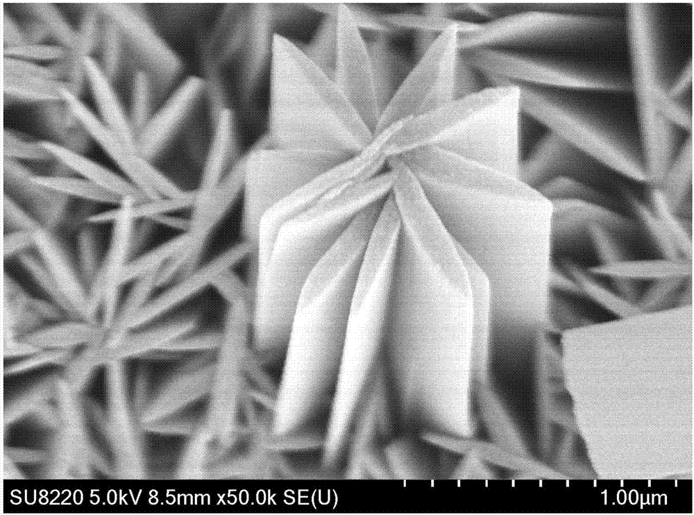 氧化铜自组装多级结构阵列材料的制备方法与流程