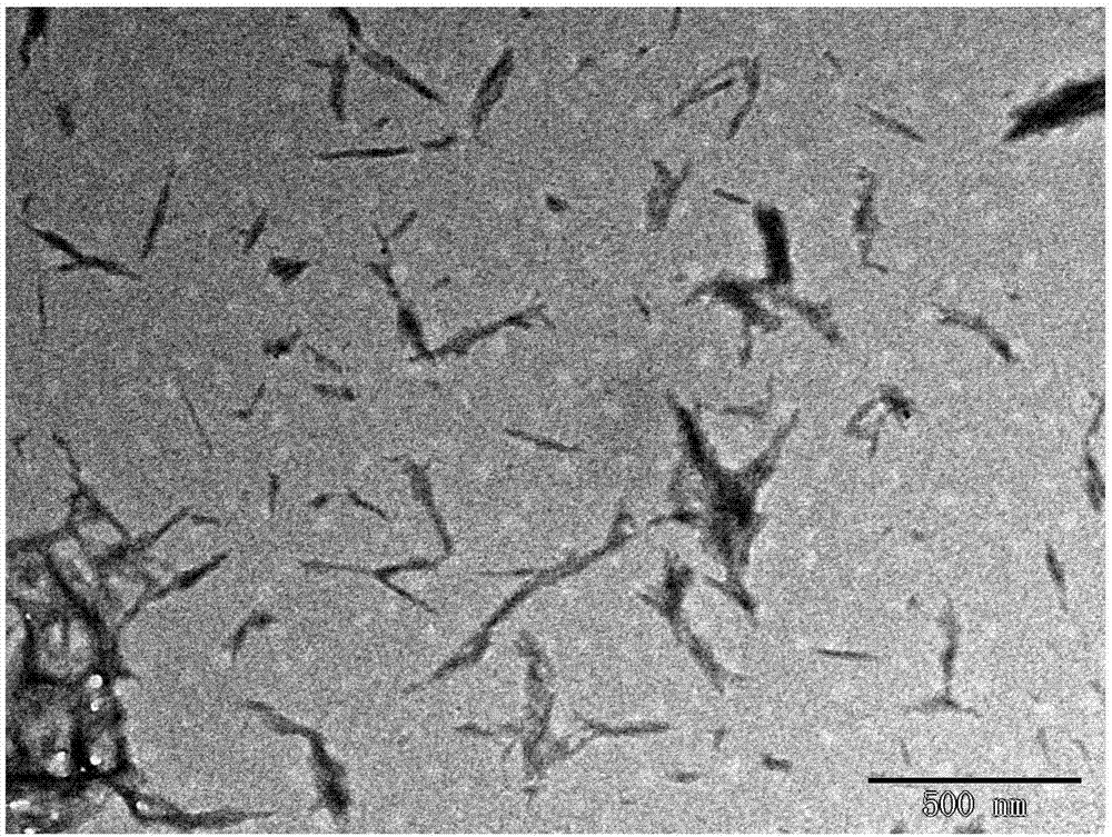 一种甲壳素纳米晶须、甲壳素纳米纤维及其制备方法与流程